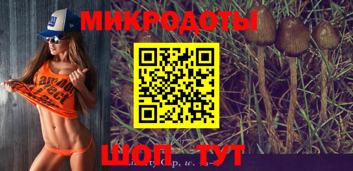 Псилоцибиновые грибы Psilocybe Рассказово